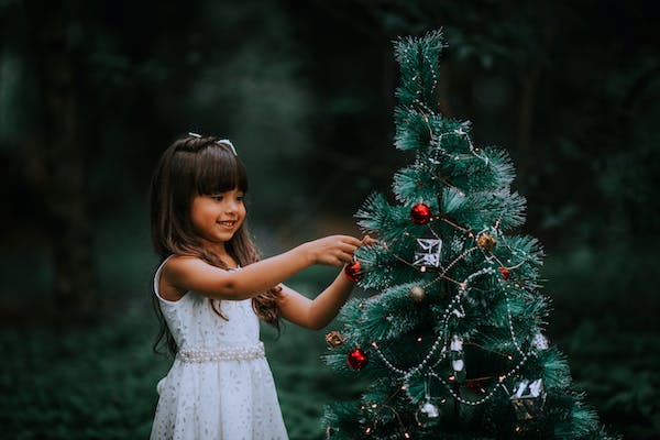 Christmas dress