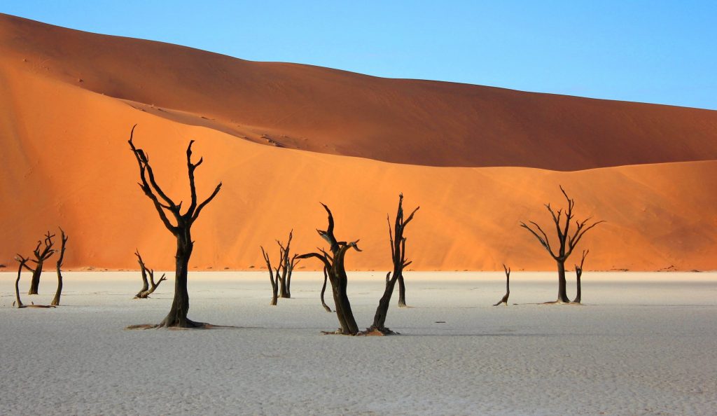 Namibia's Deadvlei